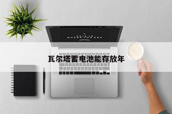 瓦爾塔蓄電池能存放年